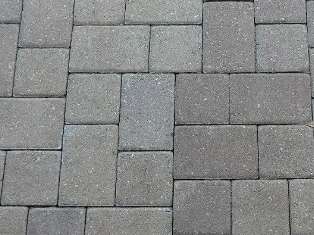 Close-up of gray concrete pavers in a modular pattern with tight sand joints on a Jupiter patio